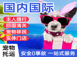 厦门高崎机场托运国际宠物托运 【国